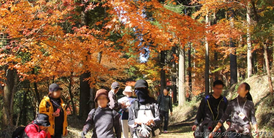 鹿児島県 大隅半島 曽於市 悠久の森ウォーキング大会